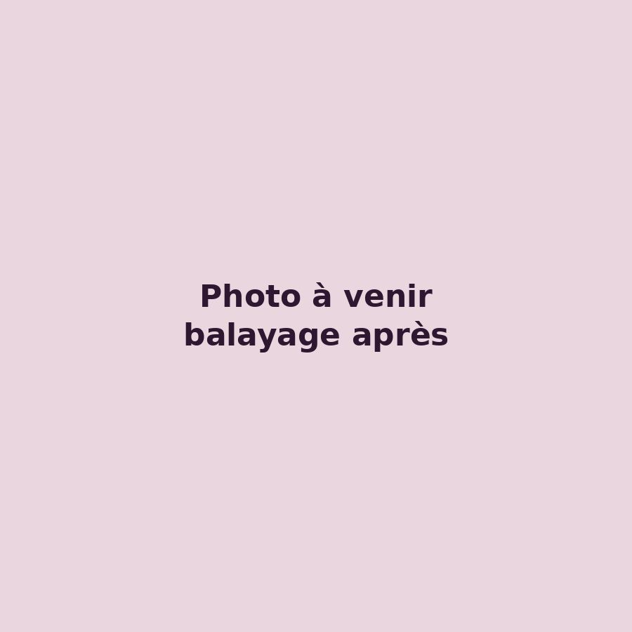 Cheveux bruns avec un balayage caramel