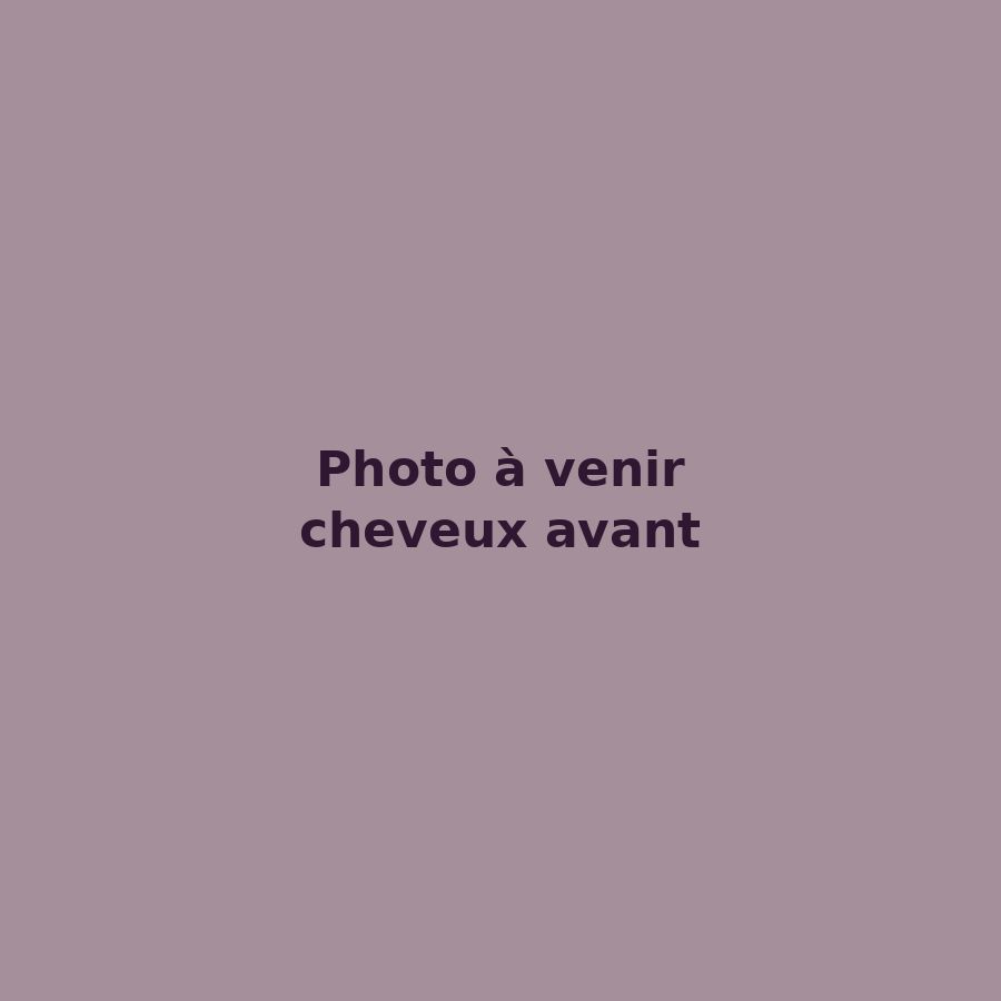 Les mêmes cheveux avant, brun uni